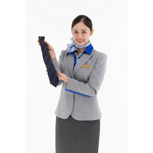 ＜ANAオリジナル＞LANVIN COLLECTION for ANA ロゴモチーフストライプタイ ネイビー