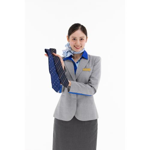 ＜ANAオリジナル＞LANVIN COLLECTION for ANA ロゴモチーフストライプタイ ネイビー