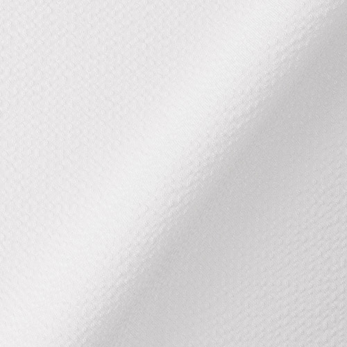 ＜ANAオリジナル＞MACKINTOSH PHILOSOPHY TROTTER シャツ ホワイト