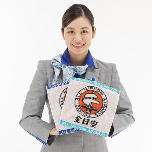 ＜ANAオリジナル＞レトロモチーフ 今治ジャカードタオルハンカチ2枚セット