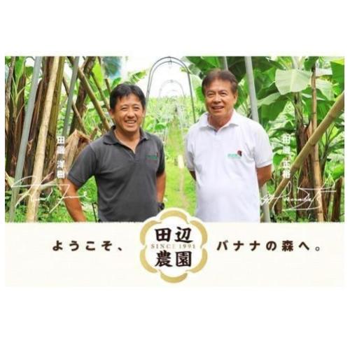 ＜ANAフーズオリジナル＞フルーツを食べるチョコレート　田辺農園バナナ2箱