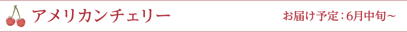 アメリカンチェリー 6月中旬～
