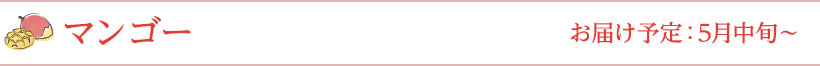 マンゴー お届け予定：5月中旬～