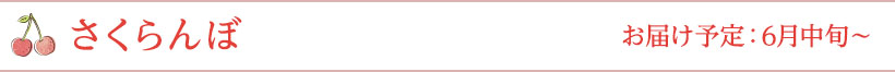 さくらんぼ お届け予定：6月中旬～