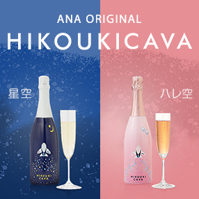 ANAオリジナル HIKOUKI CAVA（飛行機カヴァ）特集