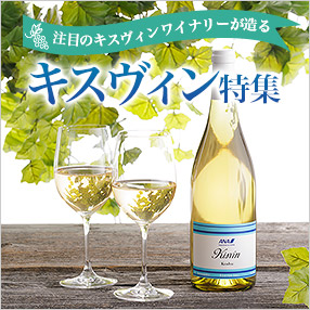 キスヴィン特集特集