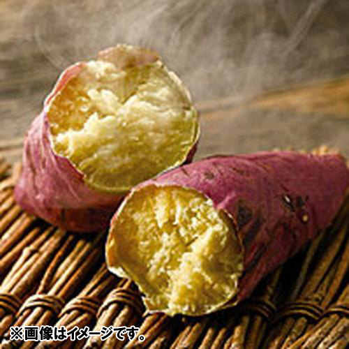 ＜木内農園＞なるとの金太郎　5kg【受注締め切り日：2026/5/25】