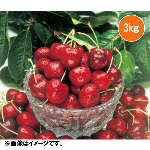 ＜ワシントン州産＞大粒アメリカンチェリー（ビング種）3kg【受注締め切り日：2026/5/31】