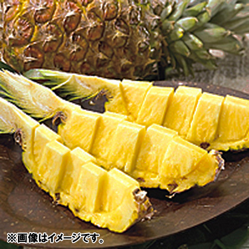 ＜沖縄県産＞當銘さんのティーダパイン 3～4個【受注締め切り日：2026/5/15】