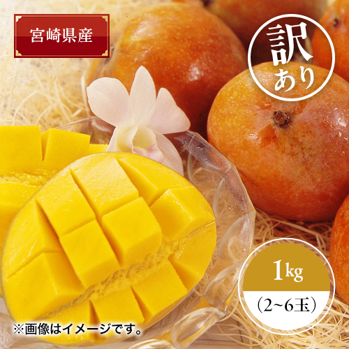 【送料込】【お買い得！！】＜宮崎県産＞訳ありマンゴー1kg【受注締め切り日：2026/6/20】