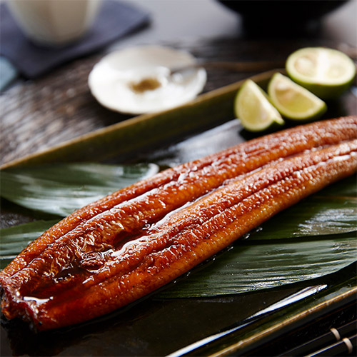 ＜静岡県浜名湖産・大和養魚＞浜名湖産うなぎ蒲焼3尾