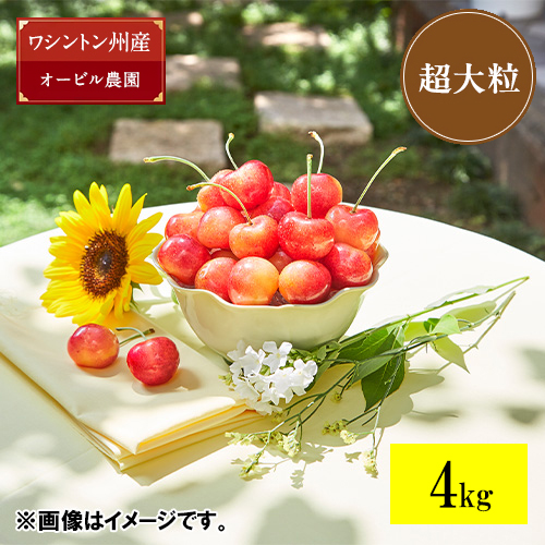 ＜オービル農園＞GEEWHIZ特選レイニアチェリー（超大粒）4kg【受注締め切り日：2026/7/1】