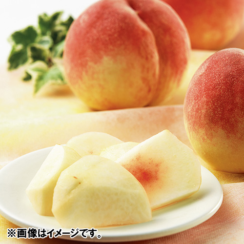 ＜山梨県産＞JA梨北 大草桃部会水蜜桃1.6kg（6玉）【受注締め切り日：2026/6/30】