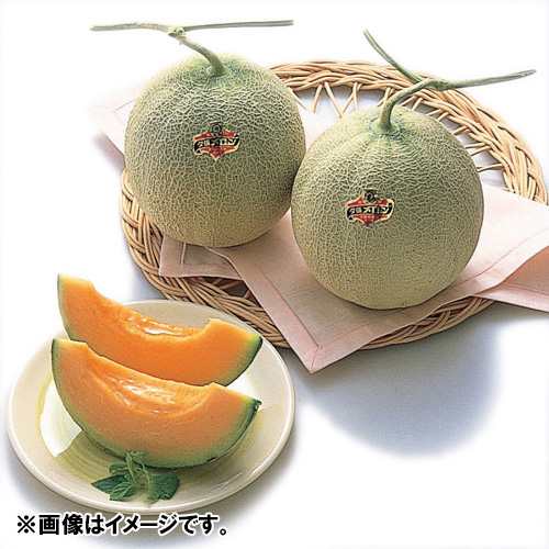 ＜北海道産＞夕張メロン（優品）計3.1kg 2玉【受注締め切り日：2026/7/15】