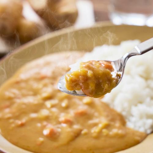 生姜のカレー8個セット