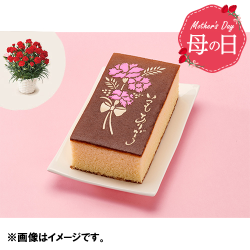 【母の日】カーネーション鉢＆長崎堂の母の日カステーラ　※送料込【受注締め切り日：2026/4/29】