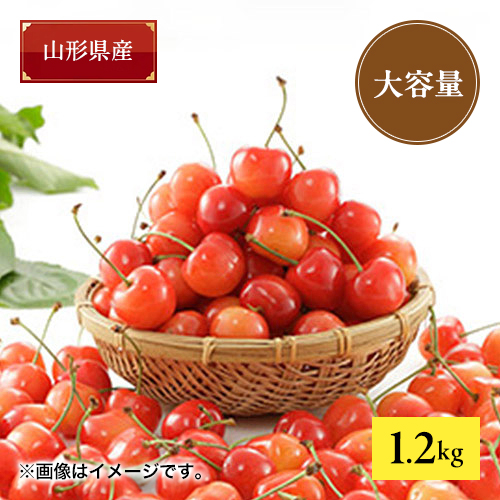 【送料込】【★たっぷり大容量★無選別自家需要】山形県産 旬のさくらんぼ 1.2kg【受注締め切り日：2026/6/23】
