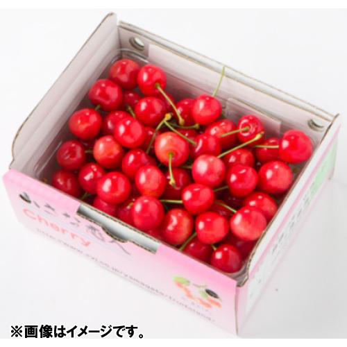 【送料込】＜山形・高橋フルーツランド＞紅秀峰 優・秀混L玉（バラ詰）500g【受注締め切り日：2026/6/30】