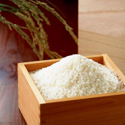 ＜山形県産＞つや姫　2kg