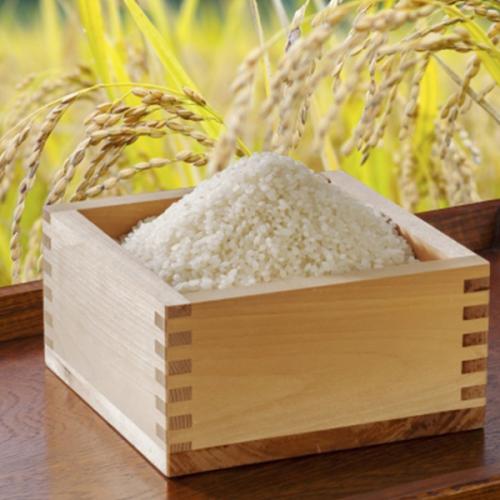 ＜青森県産＞青天の霹靂計6kg