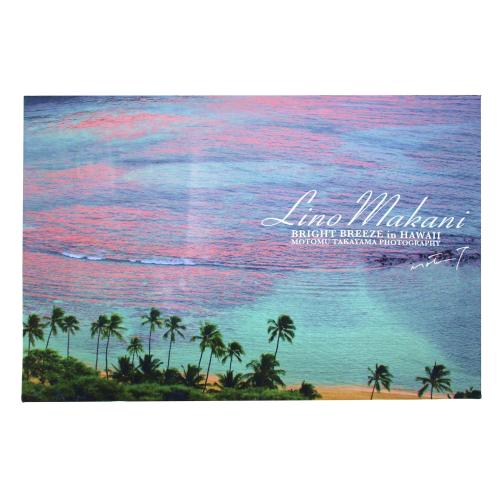 ＜LINO MAKANI＞高山求ハワイスタイル ピクチャータオル（BT501）