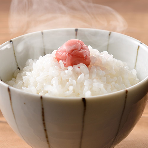 【小分け】新潟のお米12個セット 300g×12袋