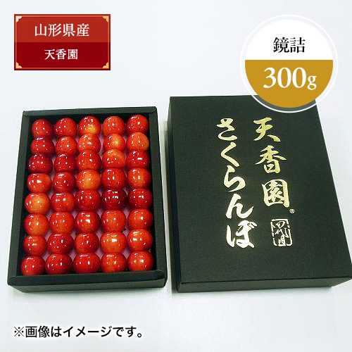 【送料込】幻のさくらんぼ＜山形県産＞天香園 プラチナレッド®鏡詰300g【受注締め切り日：2026/6/30】