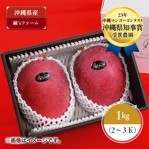 ＜縁’sファーム＞沖縄県産マンゴー秀品1kg（2～3玉）【受注締め切り日：2026/7/10】