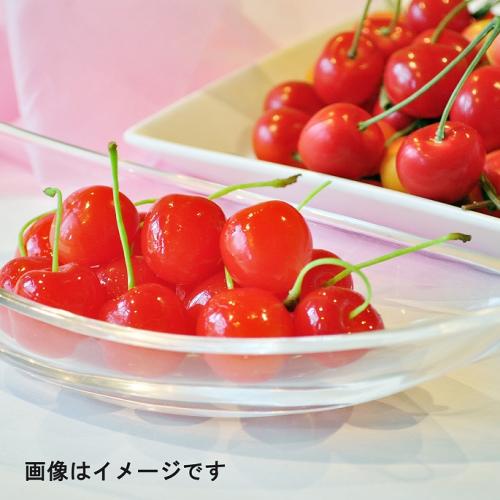 ＜山形県産＞佐藤錦 秀2L・L玉 バラ詰め500g【受注締め切り日：2026/6/20】