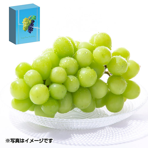 オリジナルパッケージ＜香川県産＞シャインマスカット650g【受注締め切り日：2026/8/25】