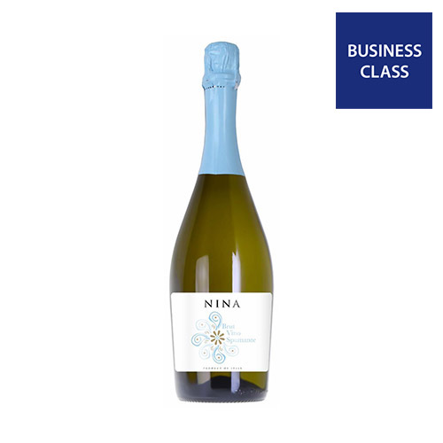 ニーナ ブリュット ヴィノ スプマンテ【NV】(スパークリングワイン)