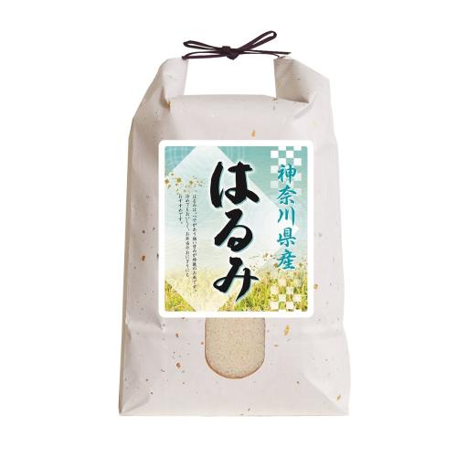 ＜神奈川県産＞はるみ5kg