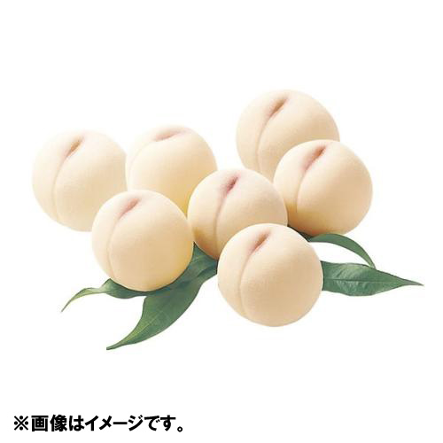 岡山の桃7玉【受注締め切り日：2026/7/31】