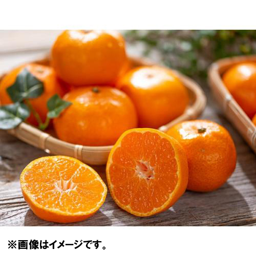 ＜佐賀・大分県産＞温室みかん1kg【受注締め切り日：2026/7/20】