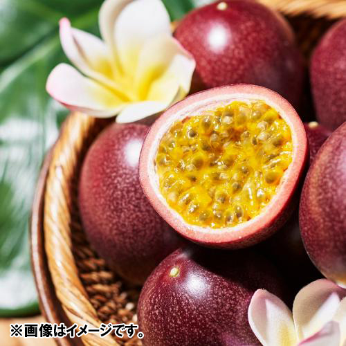 ＜沖縄情熱農園＞情熱の女神1kg（8～10玉）【受注締め切り日：2026/6/15】