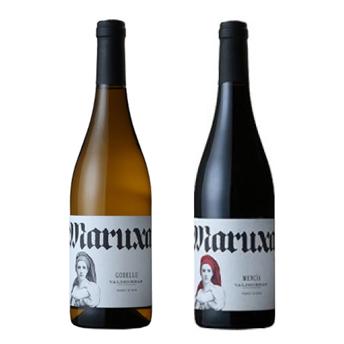 【送料当社負担】ネクスト・ブルゴーニュとしてワイン王国でも特集を組まれたワイン2本セット