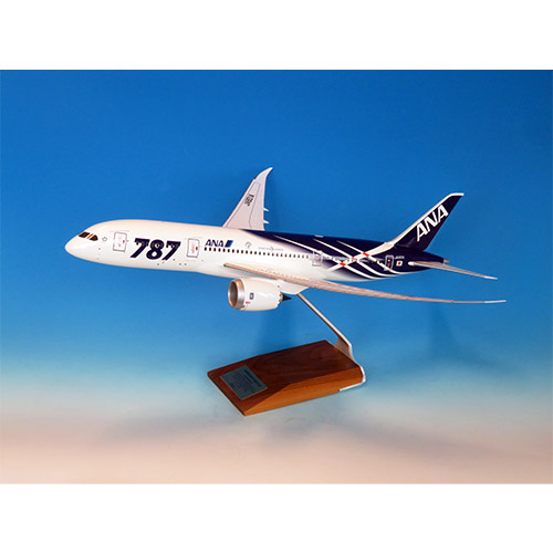 NH00124 1:100 BOEING 787-8 JA801A　特別塗装デスクトップモデル