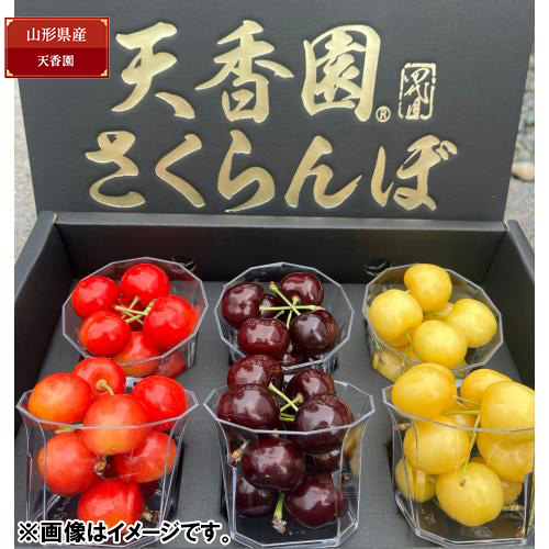 ★10セット限定★＜山形県産＞【天香園】幻のさくらんぼ2種＆元祖月山錦（R）特別セット【受注締め切り日：2026/6/30】
