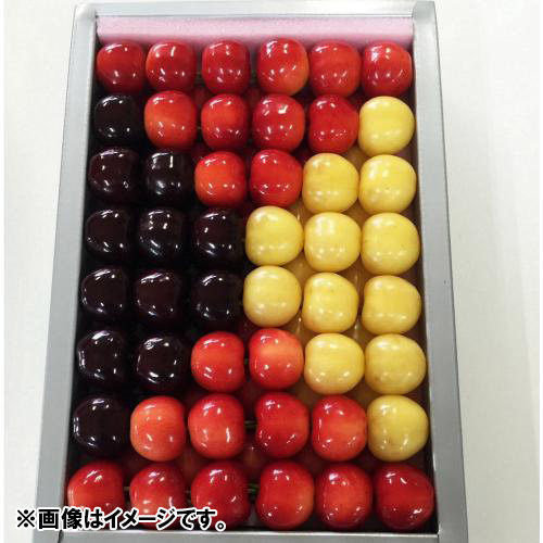 ★5セット限定★＜山形県産＞【天香園】さくらんぼアート500g【受注締め切り日：2026/6/30】