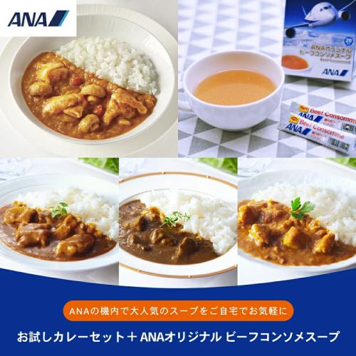 ＜ANA FINDELISH＞オリジナルカレー4種&ビーフコンソメスープセット（カレー4種×各1個+ビーフコンソメスープ1箱）