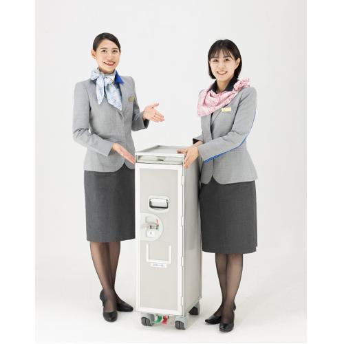 ＜ANAオリジナル＞機内搭載カート CM1121-101NH1 (未使用品)オリジナルステッカー付き