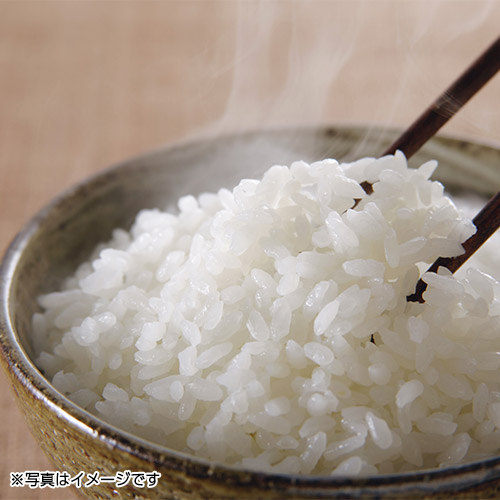 ＜石川県＞奥能登産こしひかり2kg×2袋