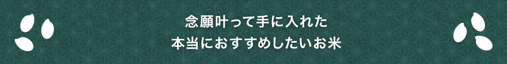 念願叶って手に入れた本当におすすめしたいお米
