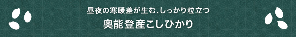 昼夜の寒暖差が生む、しっかり粒立つ 奥能登産こしひかり