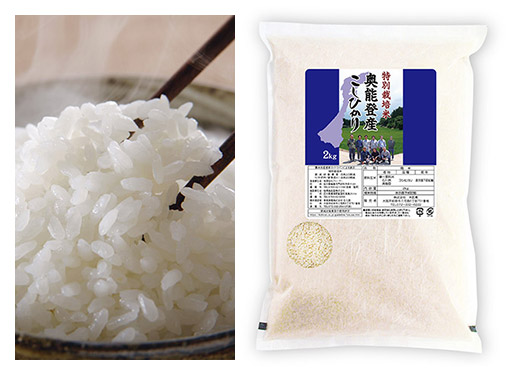 ＜石川県＞奥能登産こしひかり