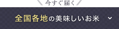 今すぐ届く 全国各地の美味しいお米