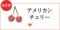 NEW アメリカンチェリー