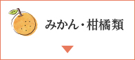 みかん・柑橘類