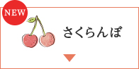 NEW さくらんぼ