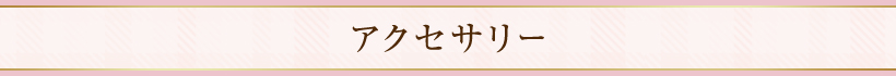 アクセサリー